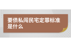 南县为什么选择专业追讨公司来处理您的债务纠纷？